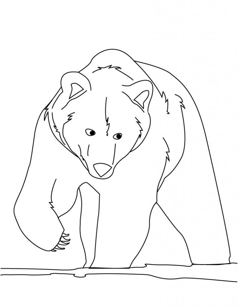Эскиз медведя карандашом