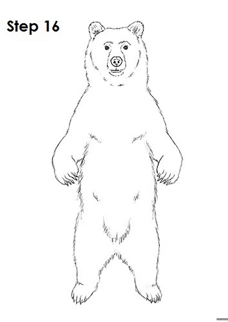 Схематичный рисунок медведя