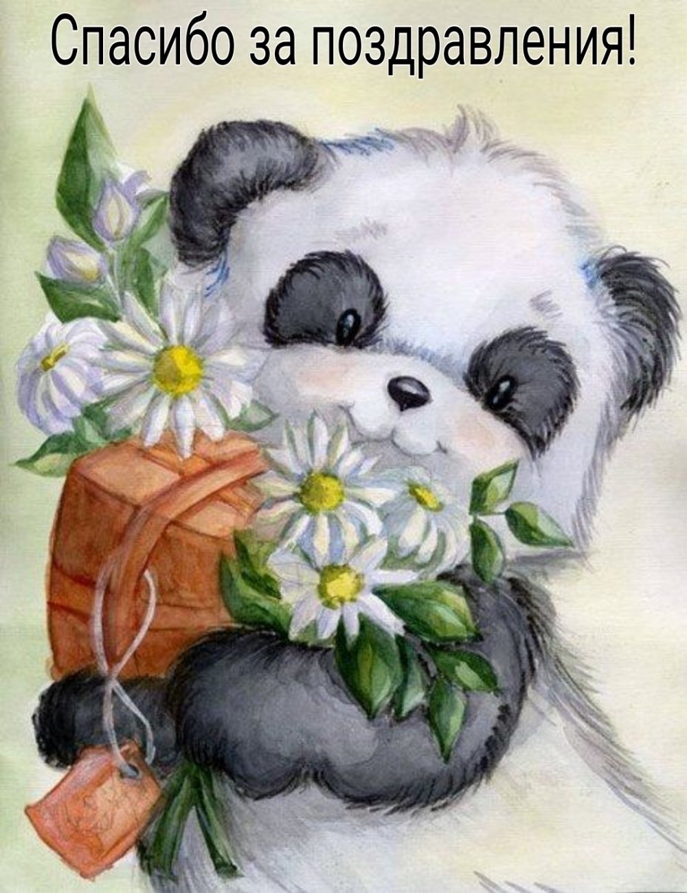 Панда с цветами