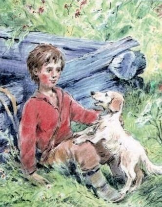 Гарин-Михайловский тема и жучка иллюстрации