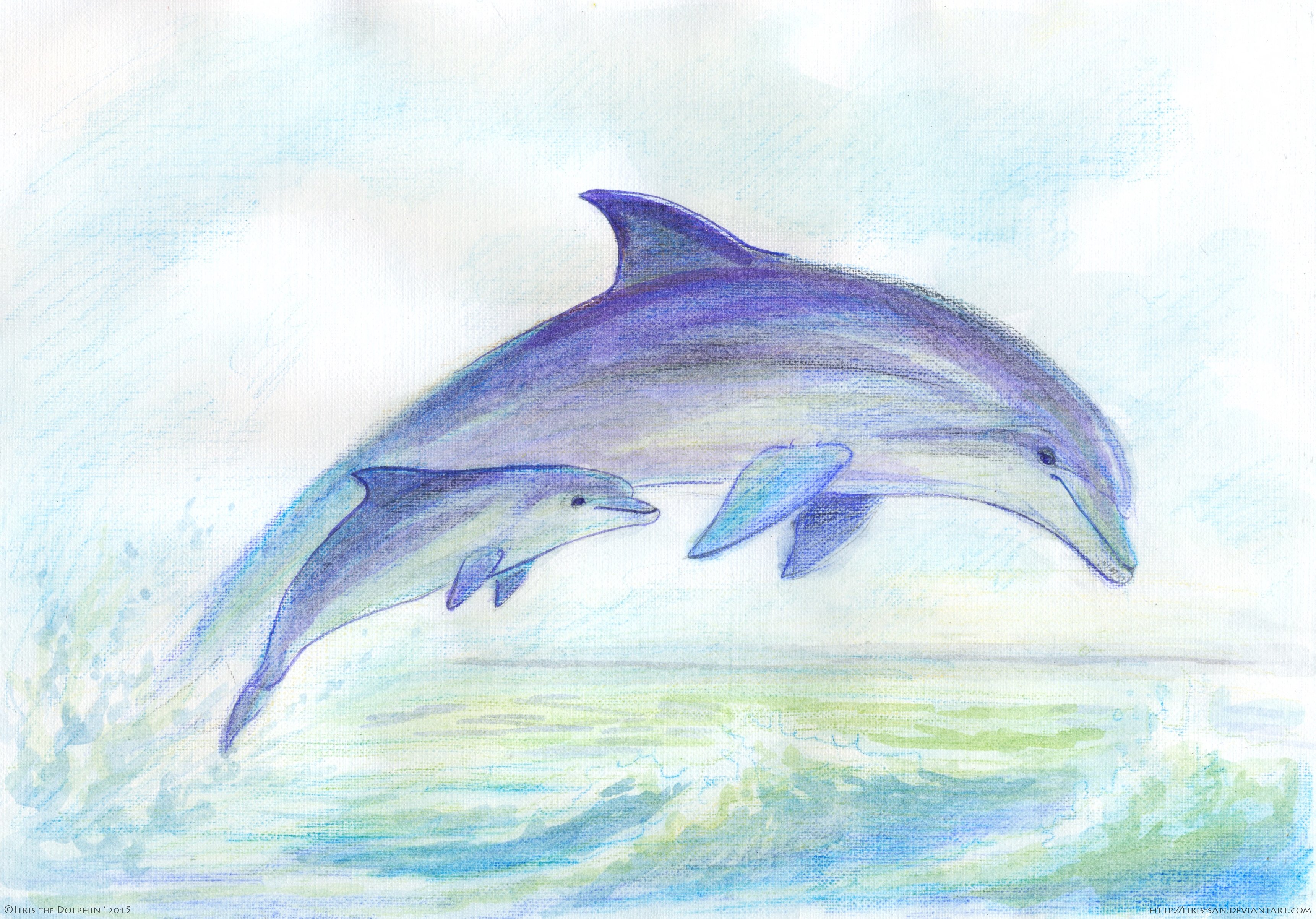 Рисунки на свободную тему легкие 6 класс. Дельфин рисунок. Рисунки насвабодную тему. Красивый рисунок дельфина. Дельфин рисунок для срисовки.