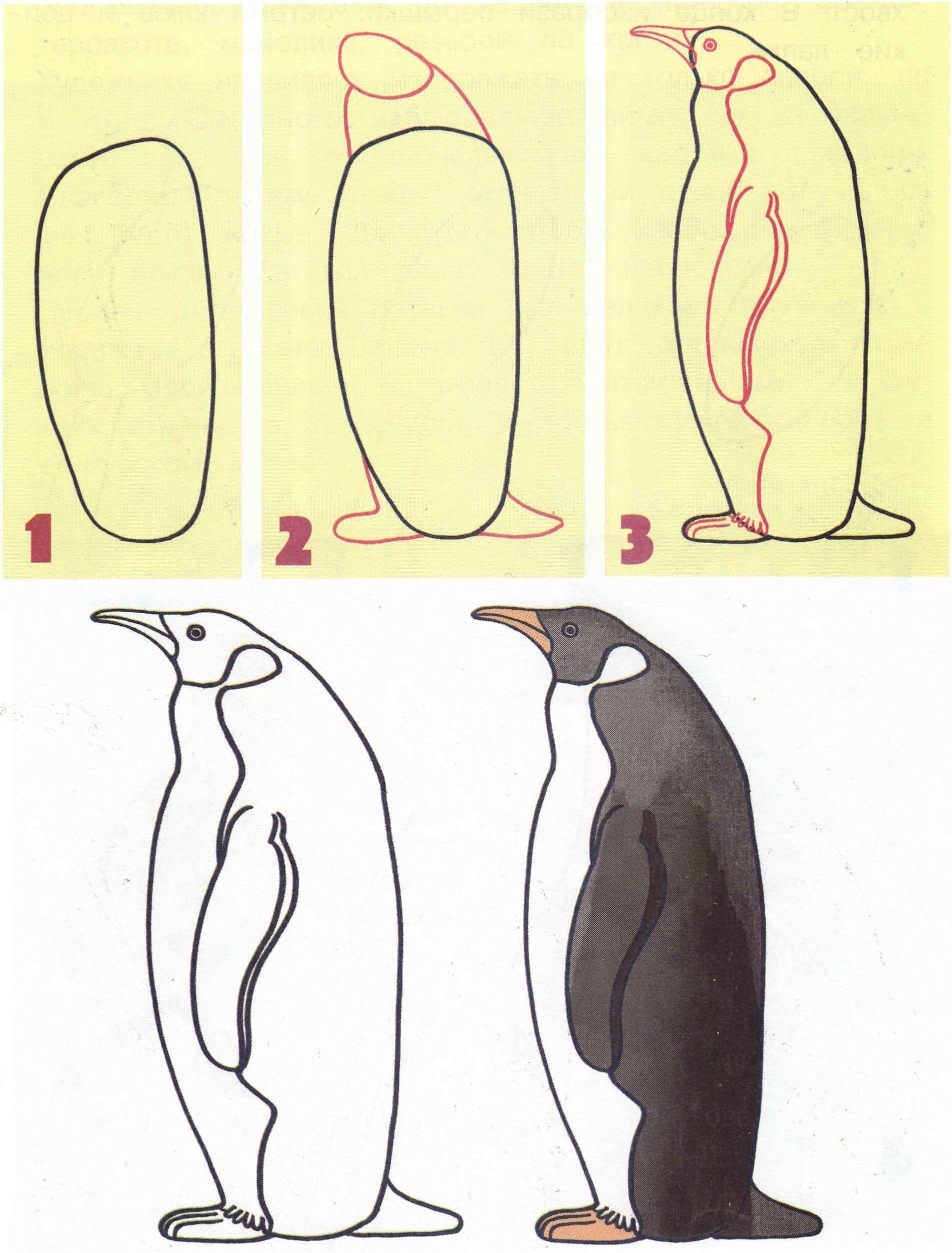 Поэтапное рисование пингвина