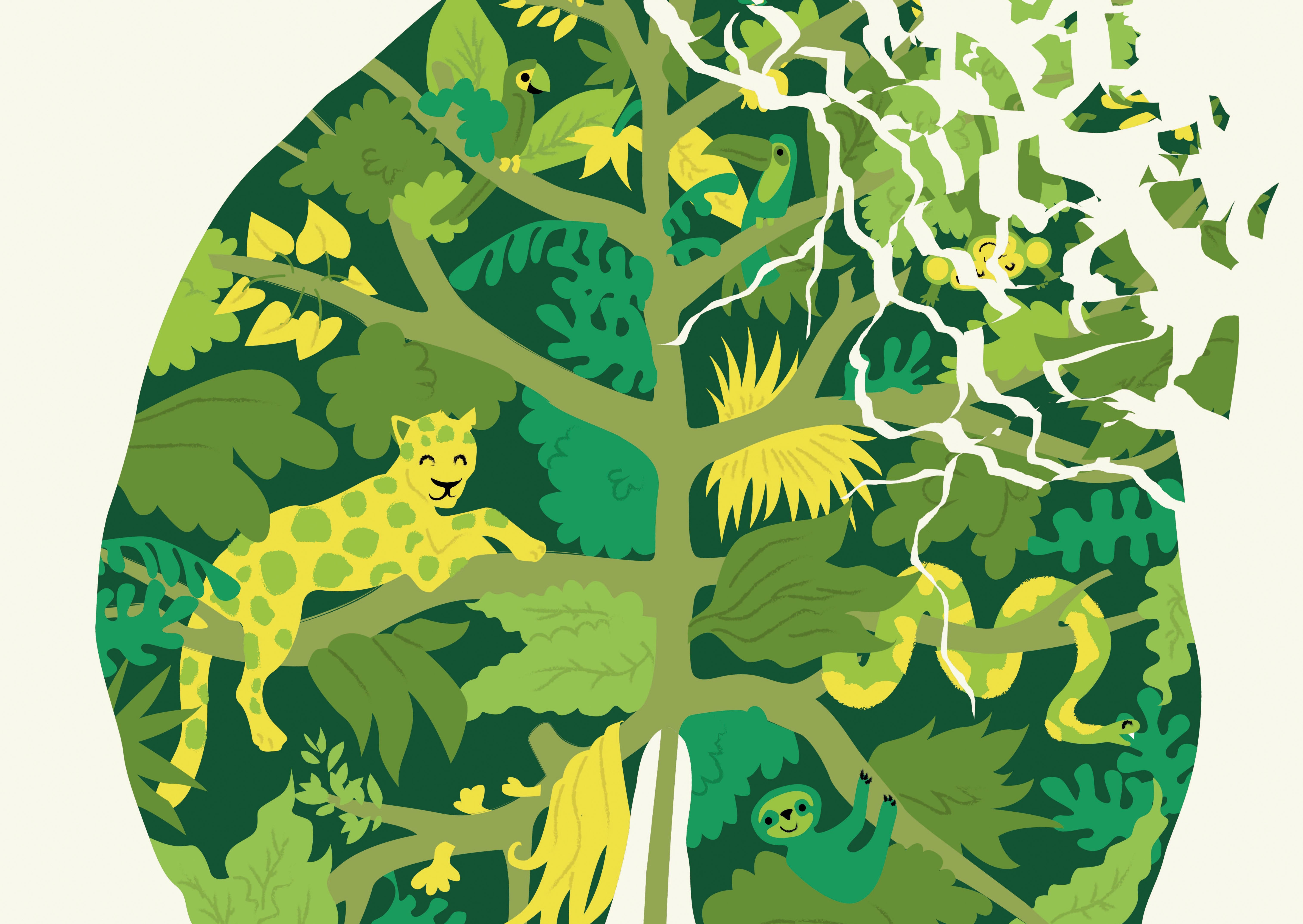 Постер тропический лес