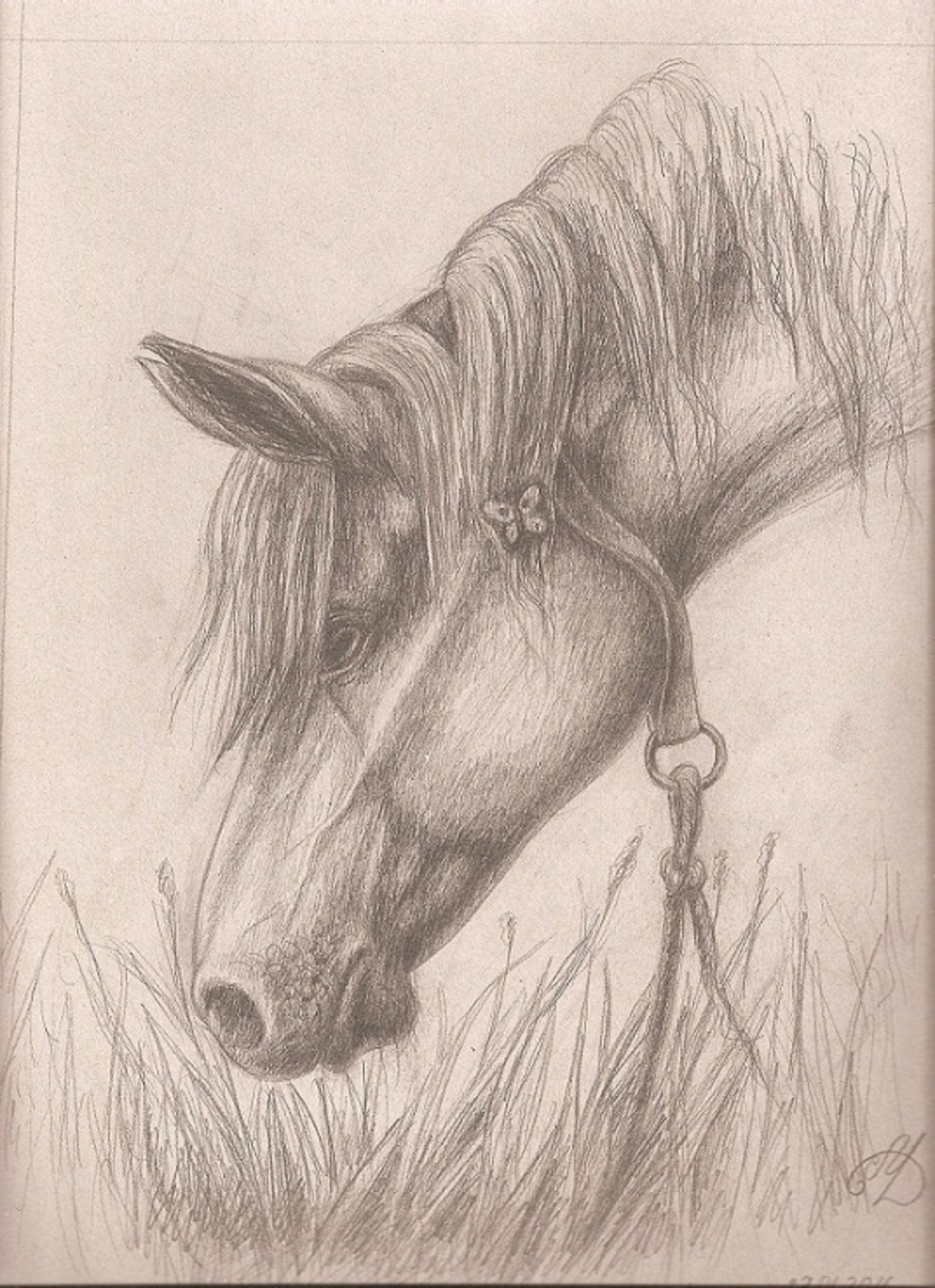 Конь простым карандашом