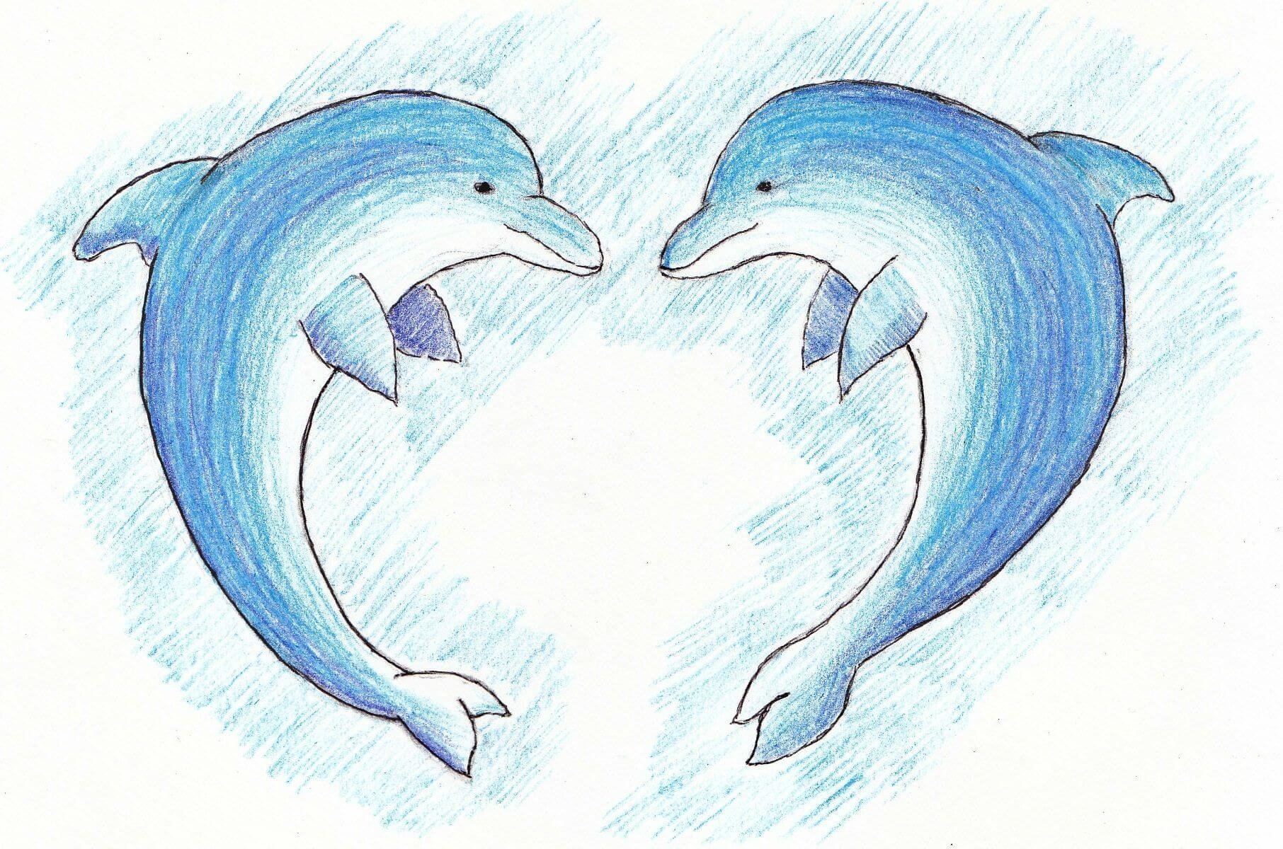 Дельфин рисунок для детей карандашом