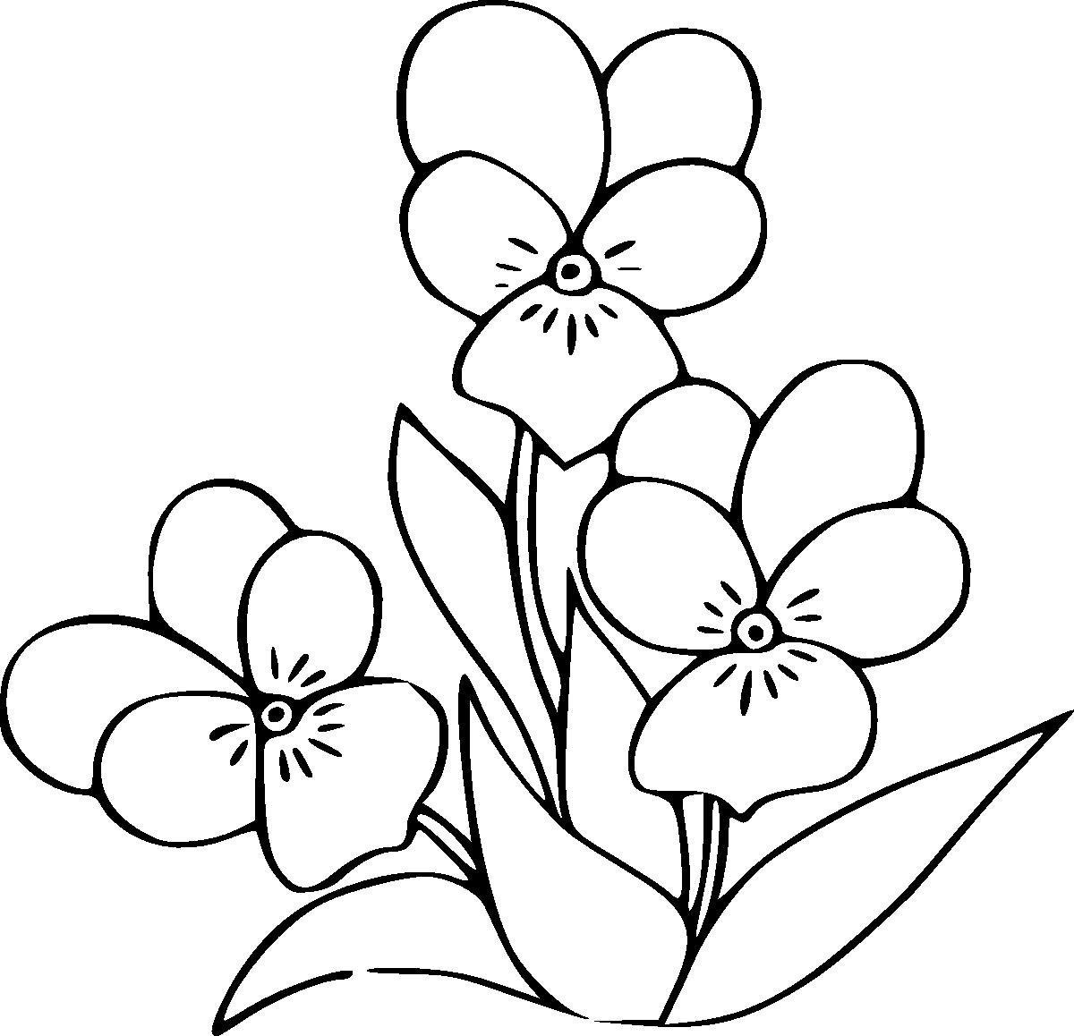 картинки цветы для рисования детям