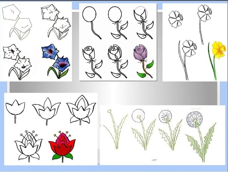 Рисуем цветы 1 класс презентация поэтапное рисование
