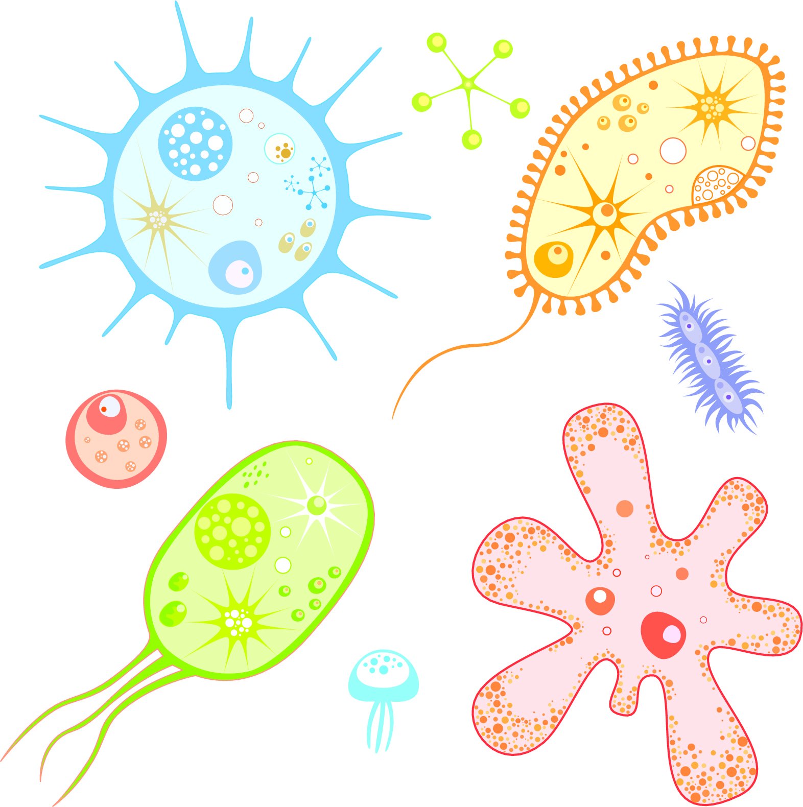 Рисунок вирусов и бактерий легко