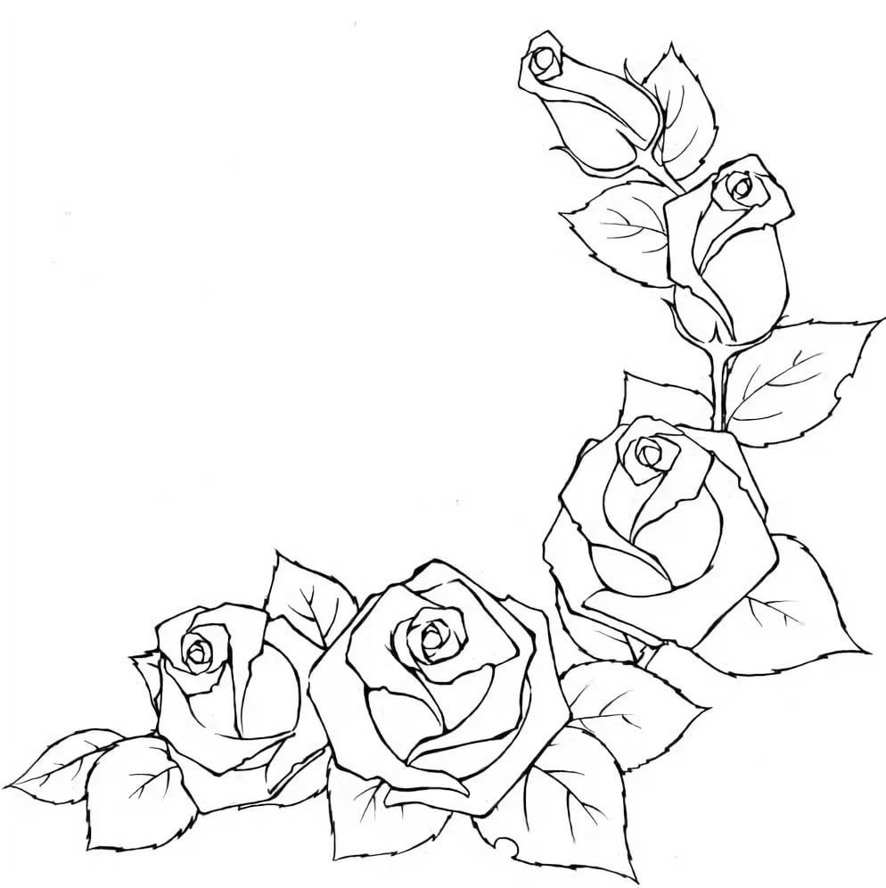 Рисунок розы для срисовки. Простые рисунки цветов для срисовки. Красивые цветы для срисовки.