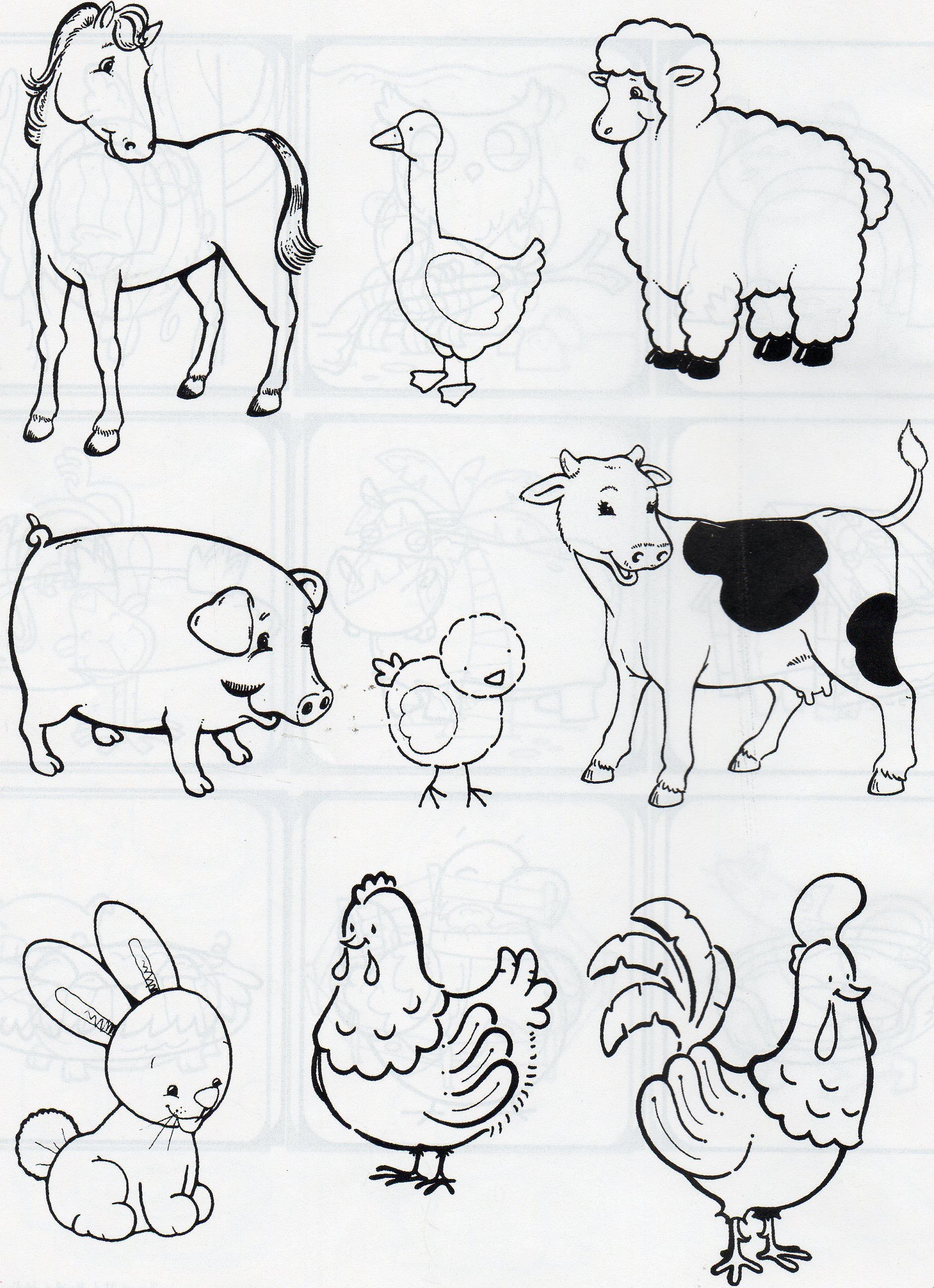 Рисунки домашних животных