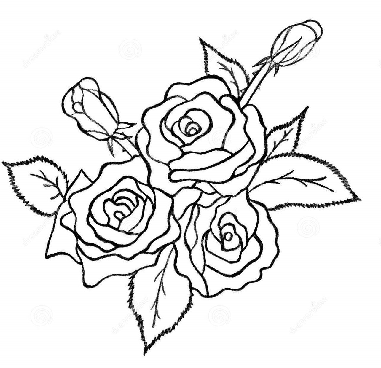 Букет роз для срисовки