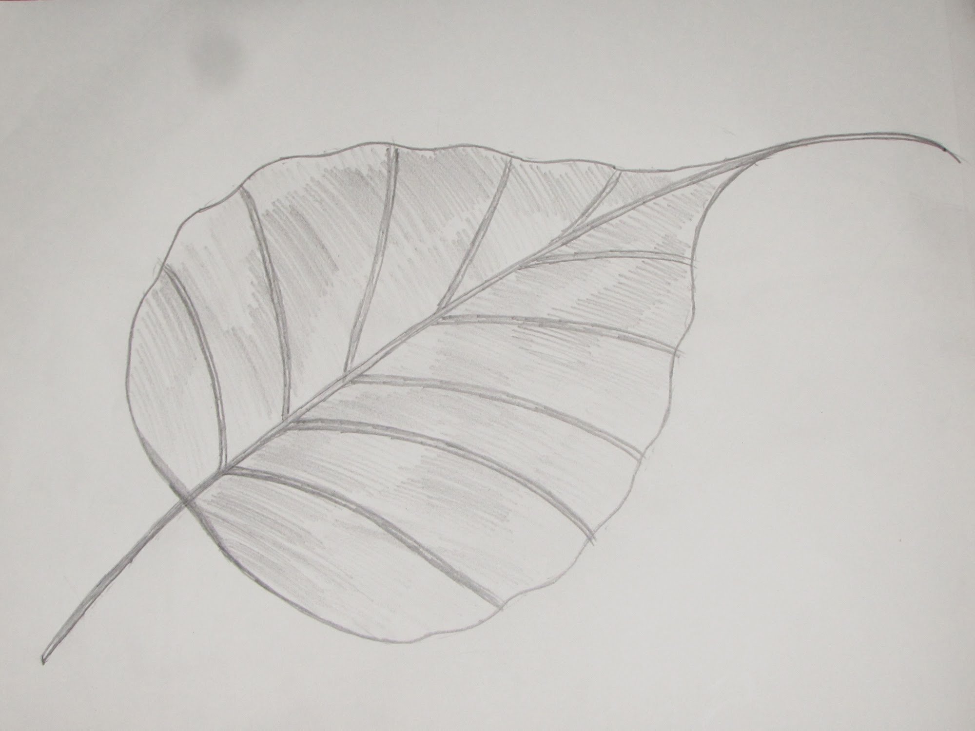 Рисование листьями