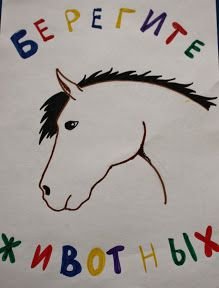 Плакат берегите животных