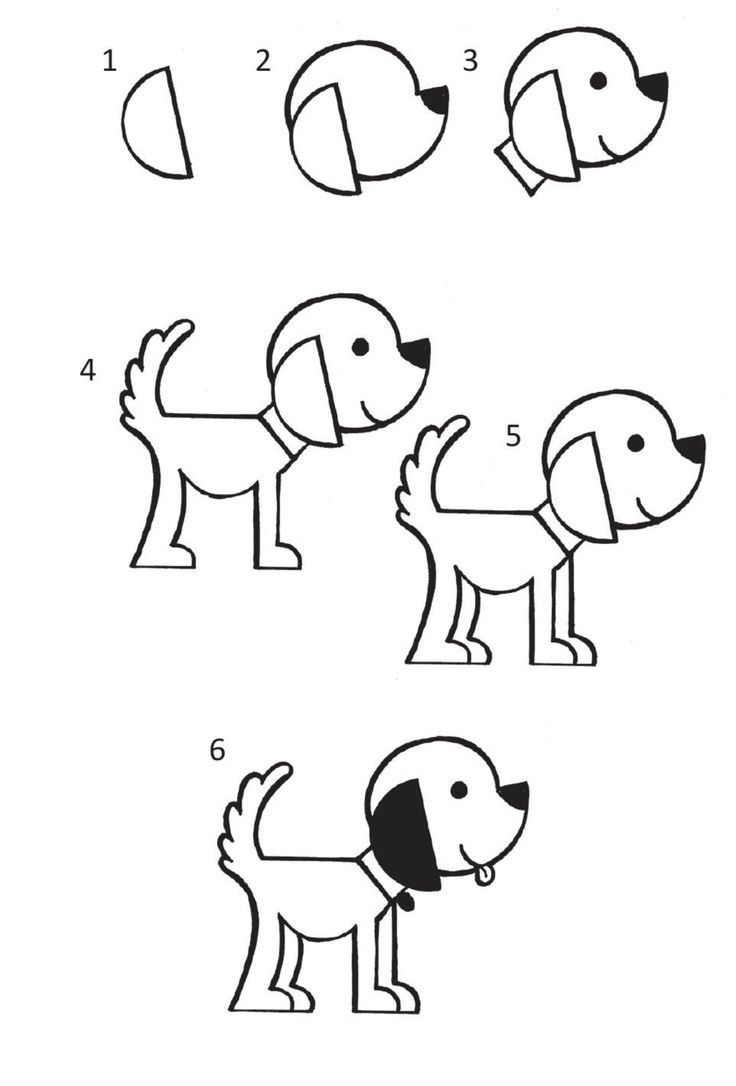 Схема рисования собаки для детей дошкольного возраста