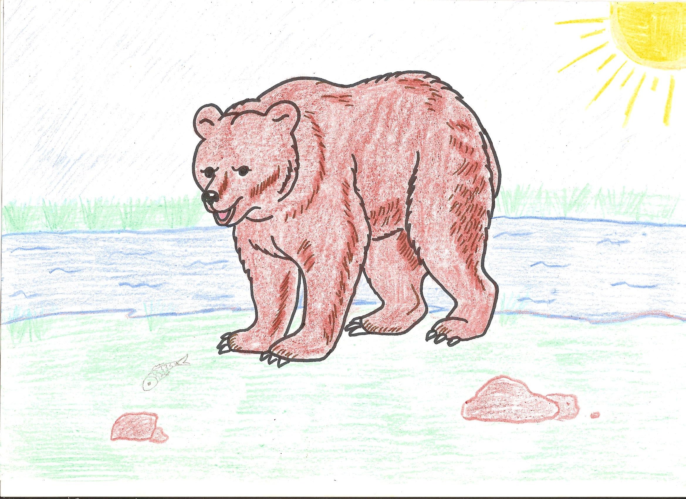 Рисование бурый медведь