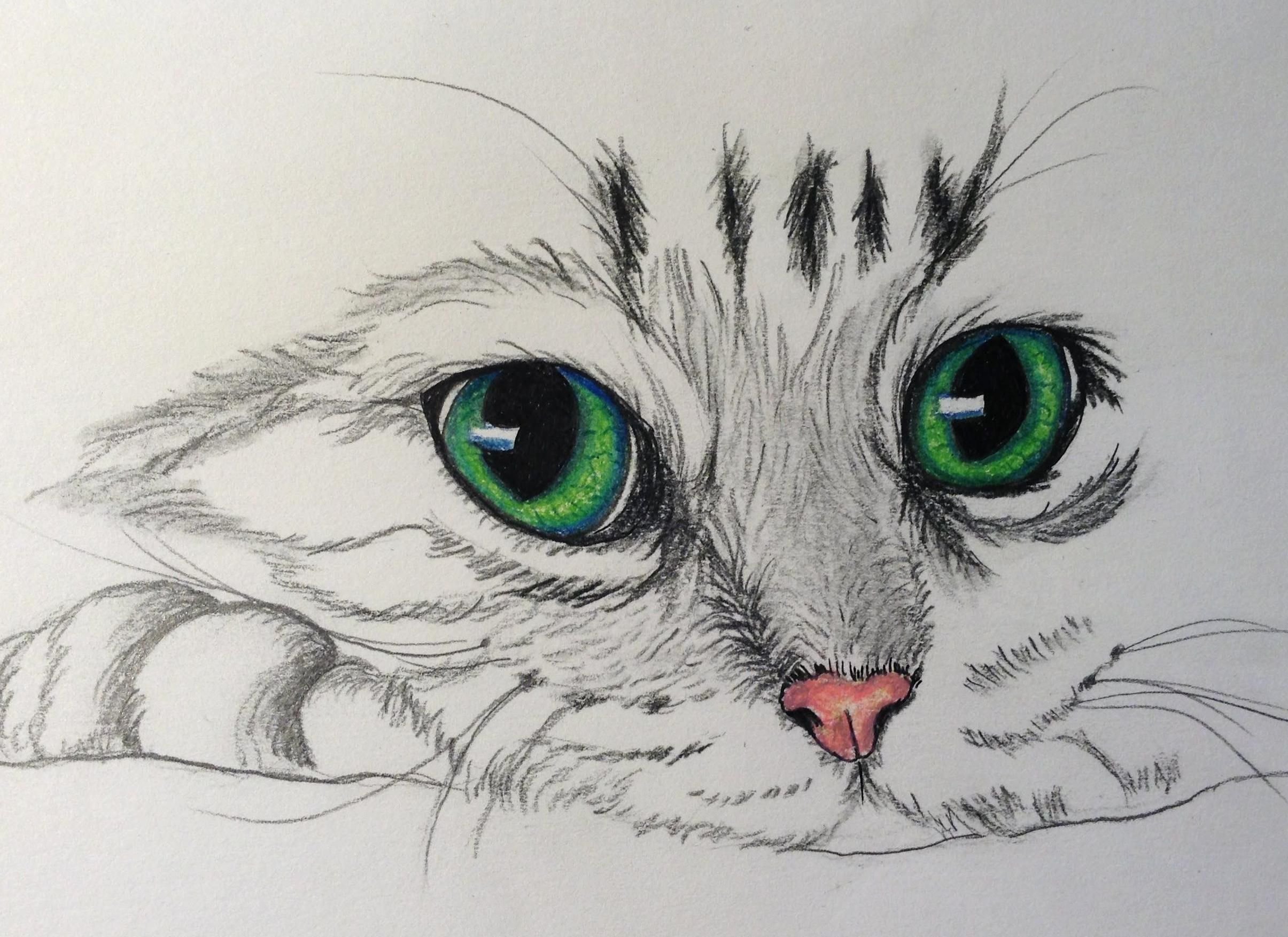 Рисунки котиков карандашом лёгкие