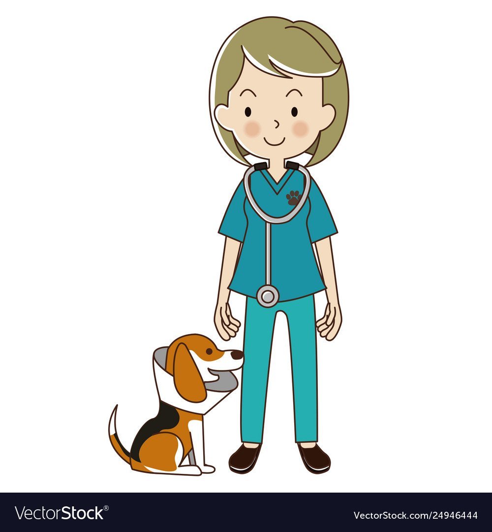 Для детей профессия ветеринар одежда