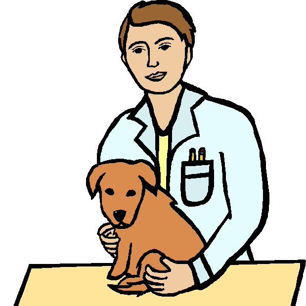 Ветеринарный врач картинка для детей