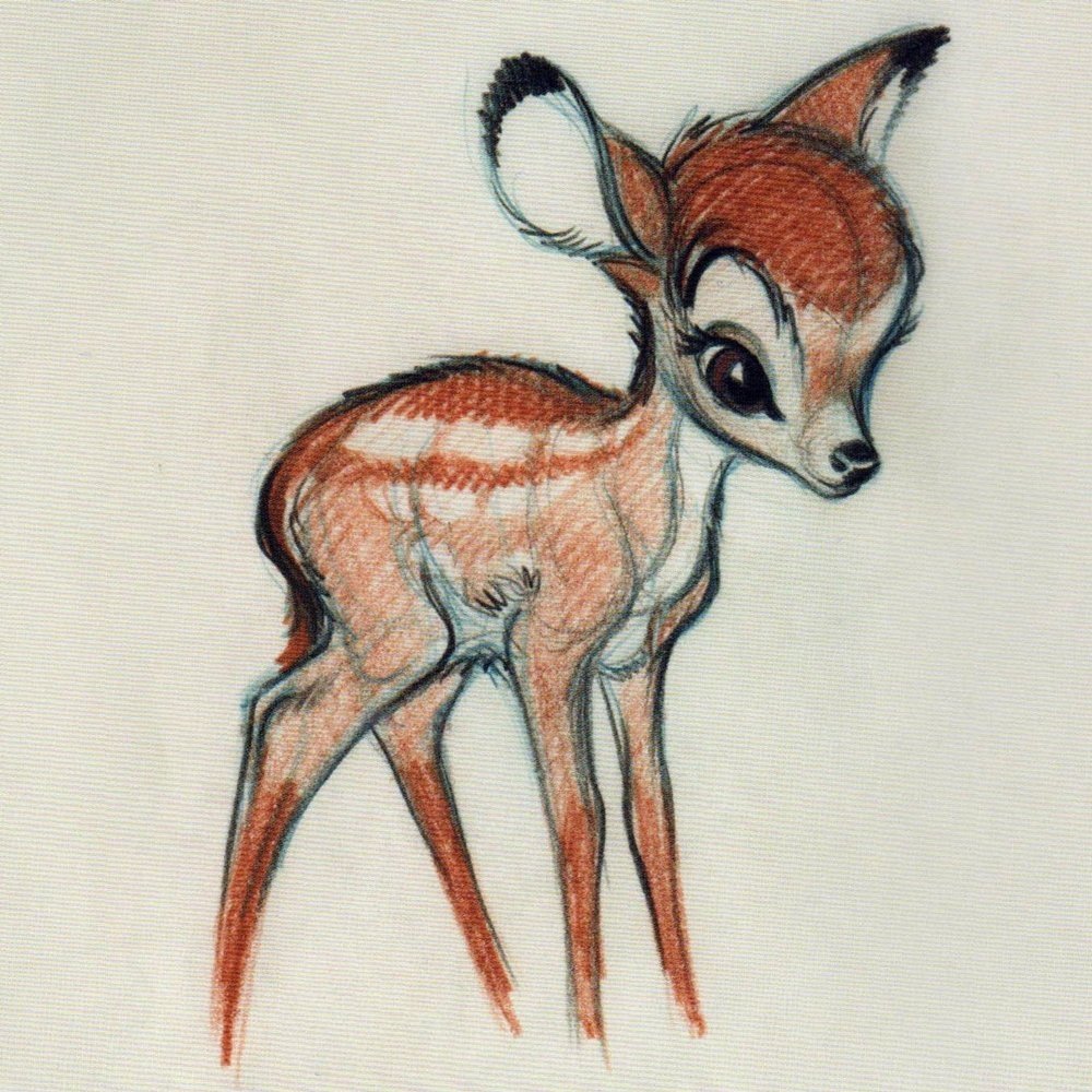 Рисунок животного