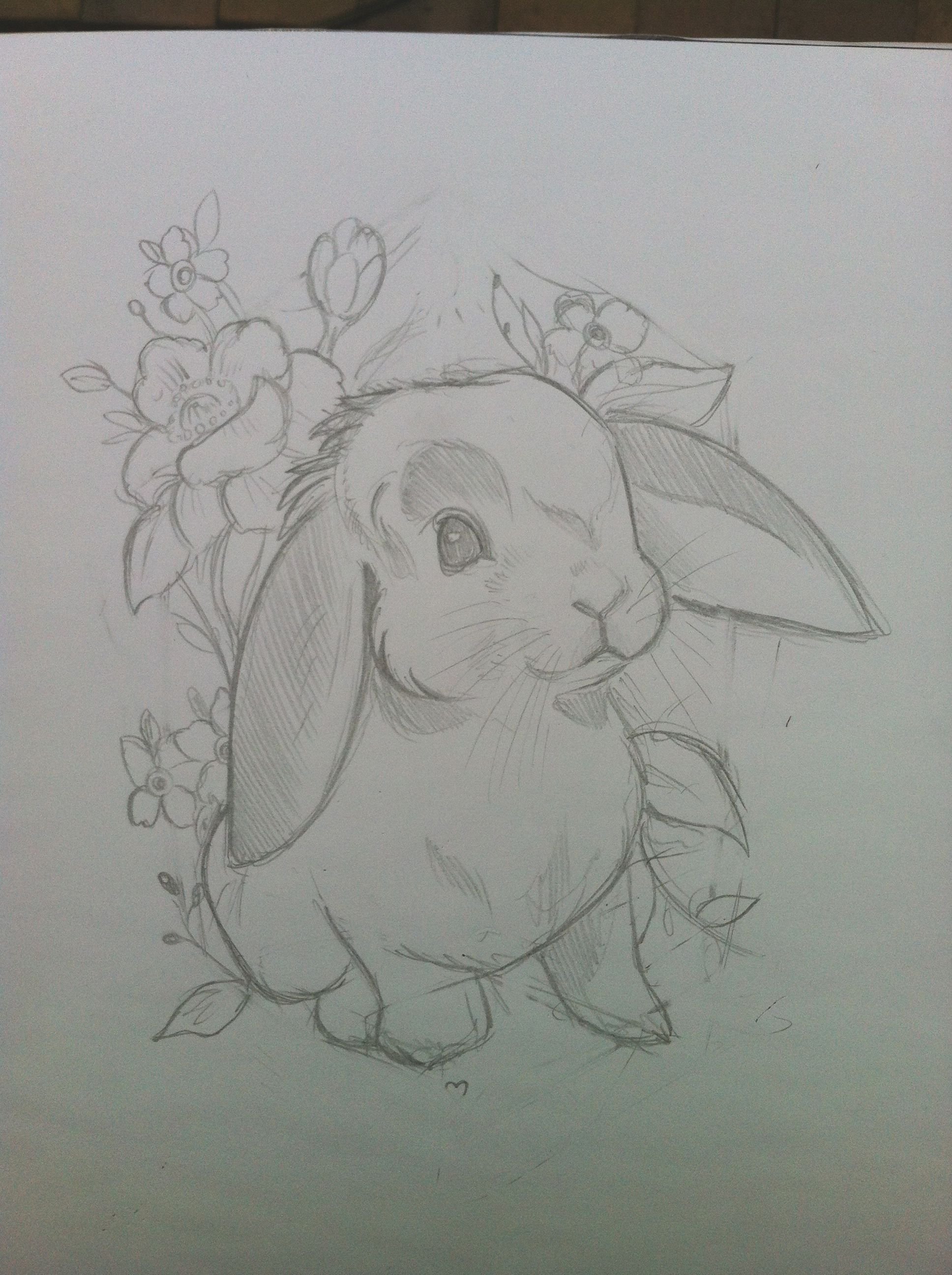 Рисунок кролика карандашом для срисовки