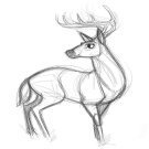 Животные рисунки