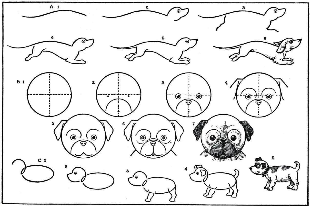 Схема рисования щенка для детей