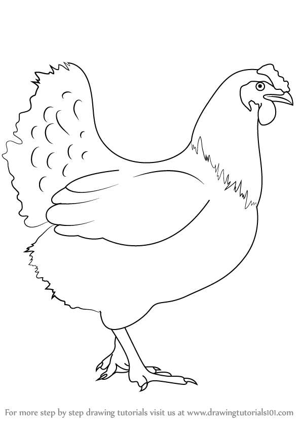 Курица рисунок карандашом. Курица раскраска для детей. Курица для срисовки. Рисунок курицы для срисовки.