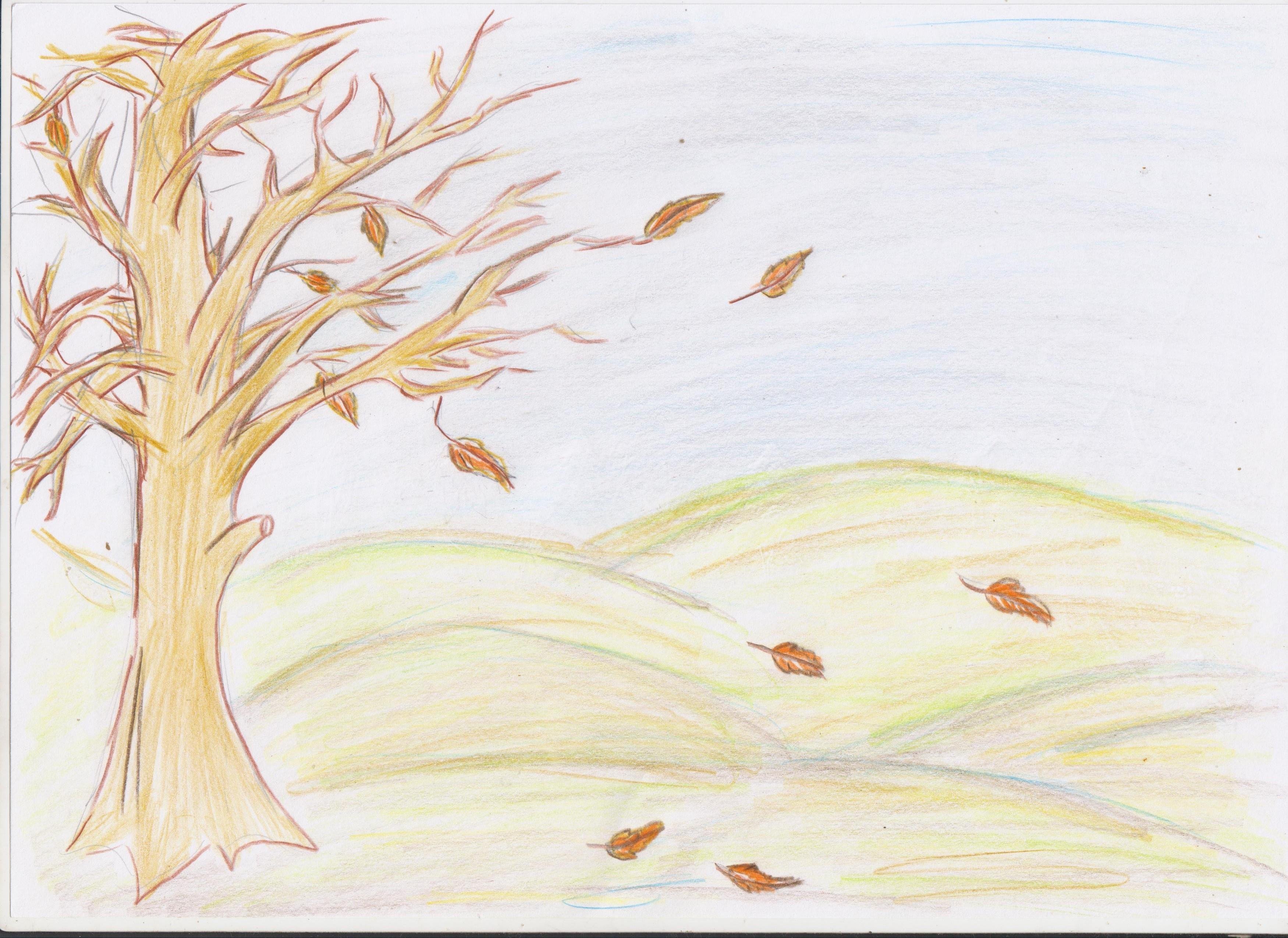 Пришла без красок и без листьев. Рисунок осень. Рисунок осень карандашом. Осенние картинки для срисовки. Осень рисунок для детей карандашом.