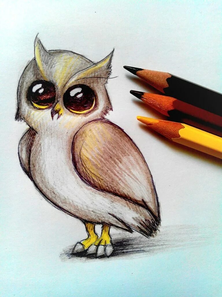 Как легко нарисовать животных карандашом и красиво