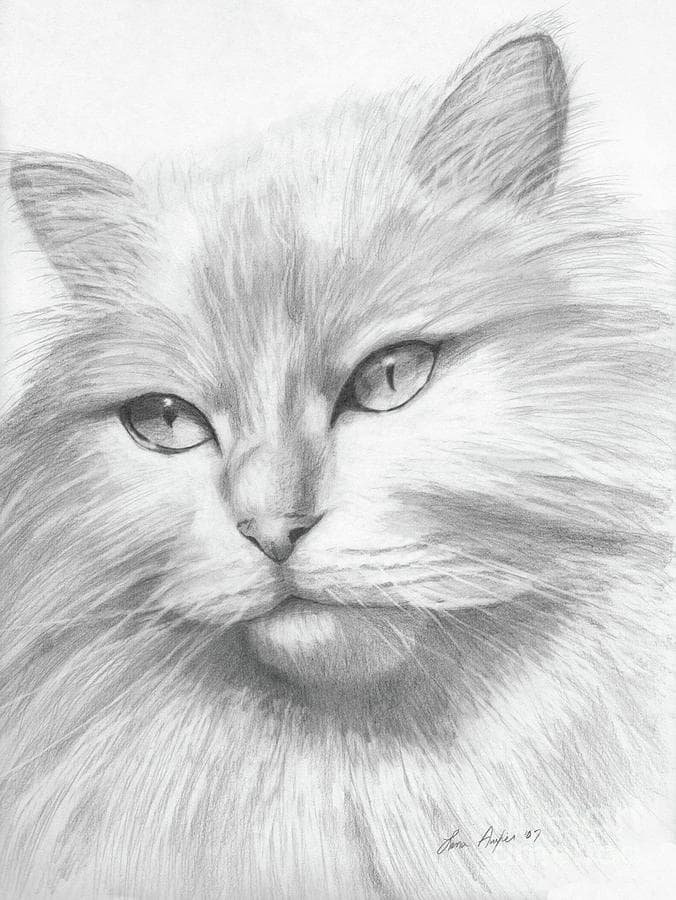 Как легко нарисовать животных карандашом и красиво