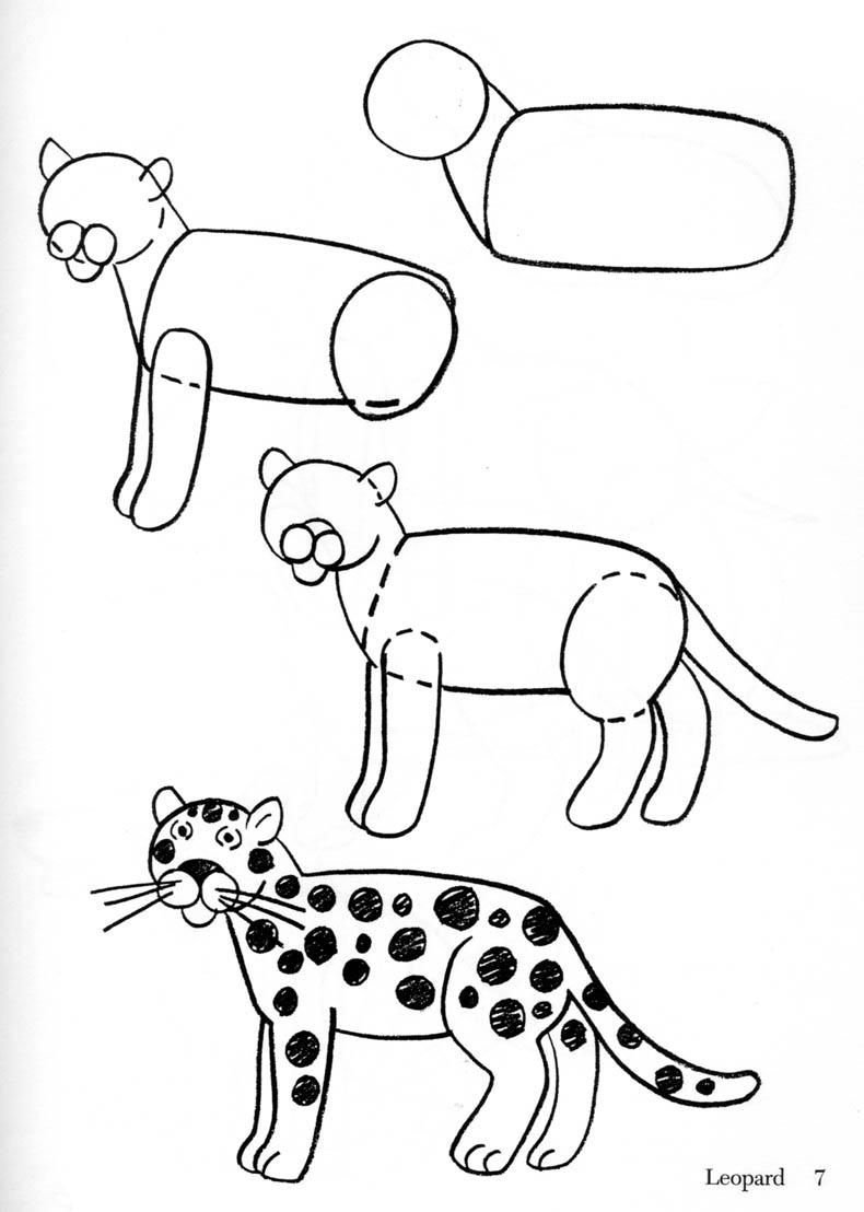 Рисование животных