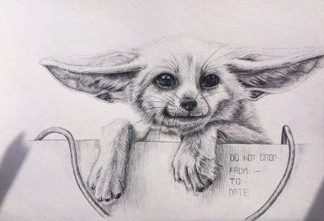 Смешные животные рисунки карандашом