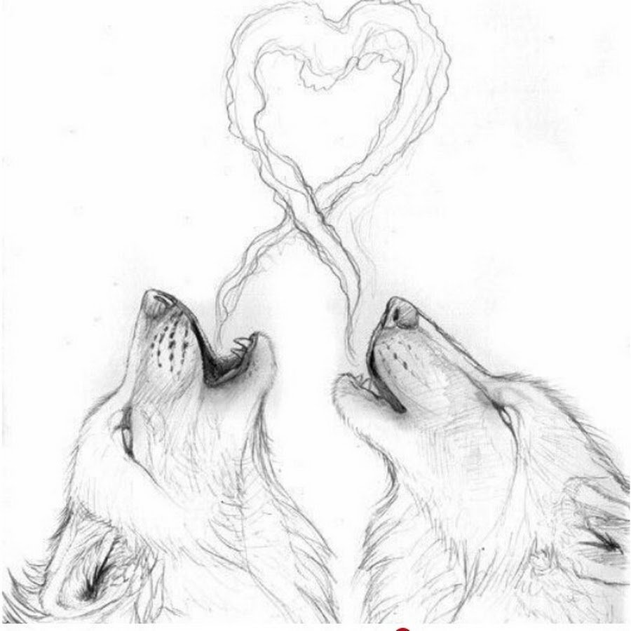Волки для срисовки карандашом красиво и легко