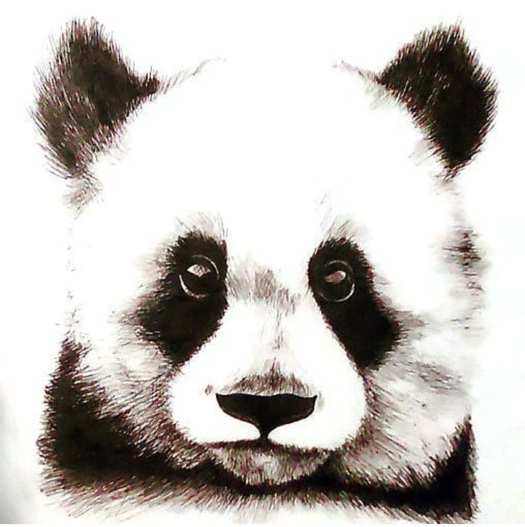 Легкие рисунки животных для детей Панда