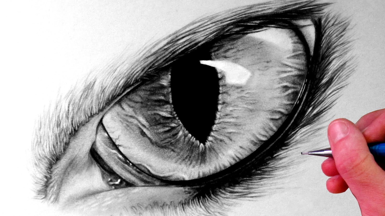 Когачий глаза карандашом