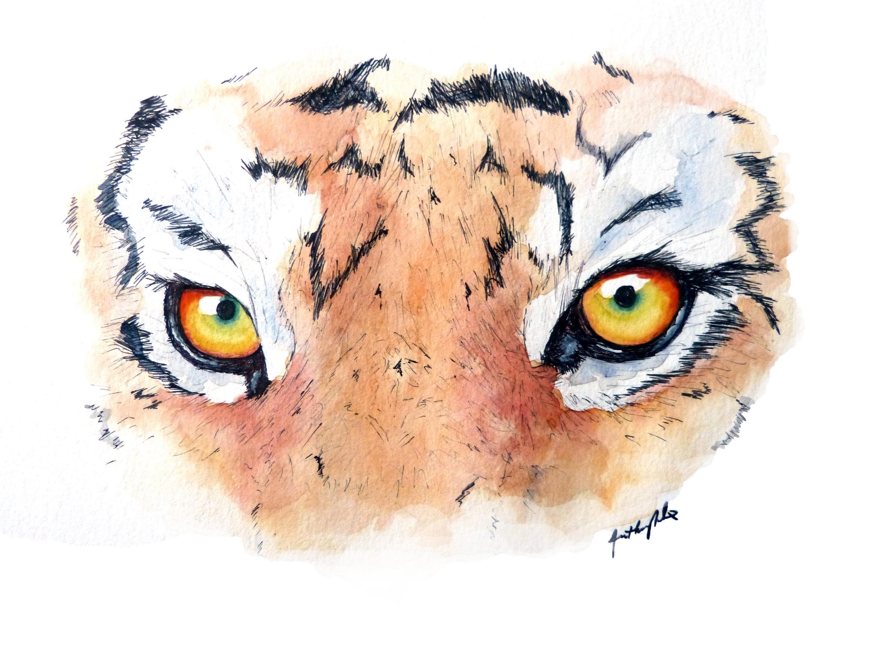 Глаз тигра акварель