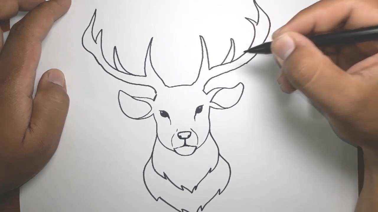 Фото оленя как нарисовать оленя