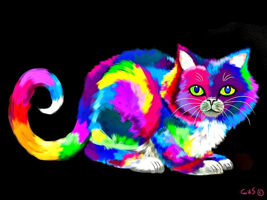 Кот рисунок цветной. Радужный кот. Цветные коты. Радужные котята. Разноцветные кошечки.