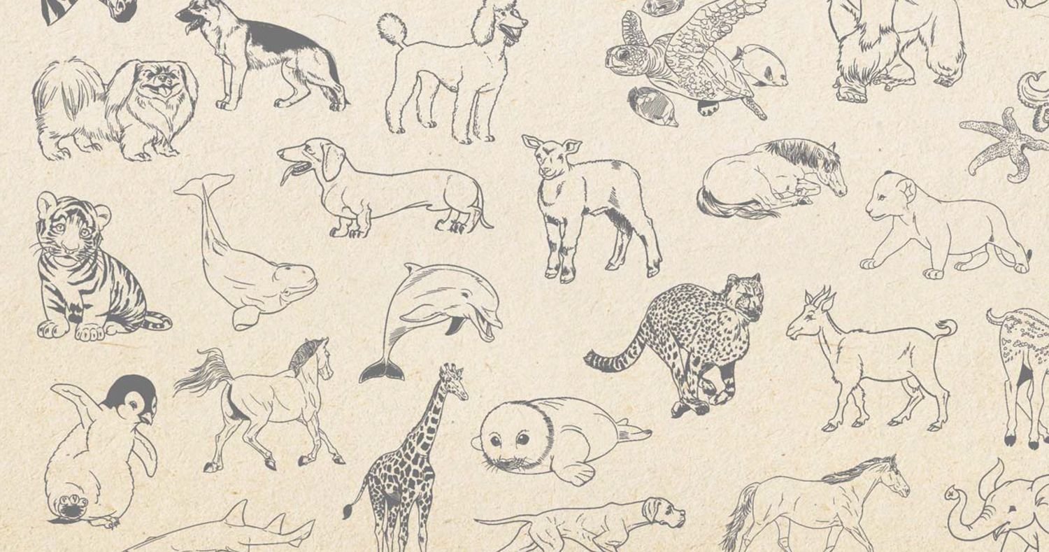 Рисование животных разных видов