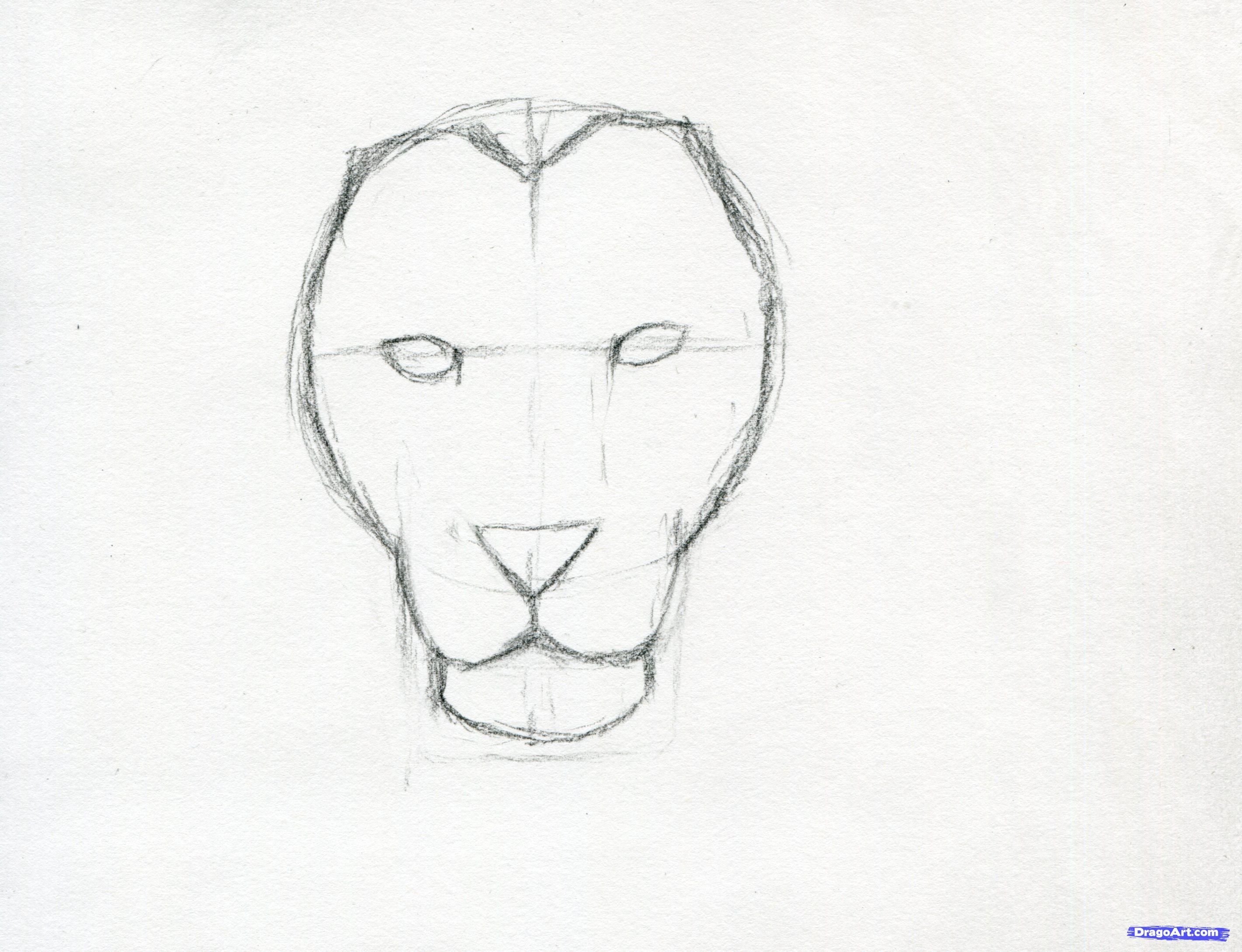 Нарисовать морду Льва поэтапно