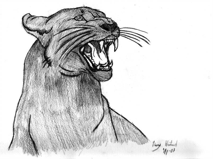 Как нарисовать пантеру карандашом поэтапно ✏