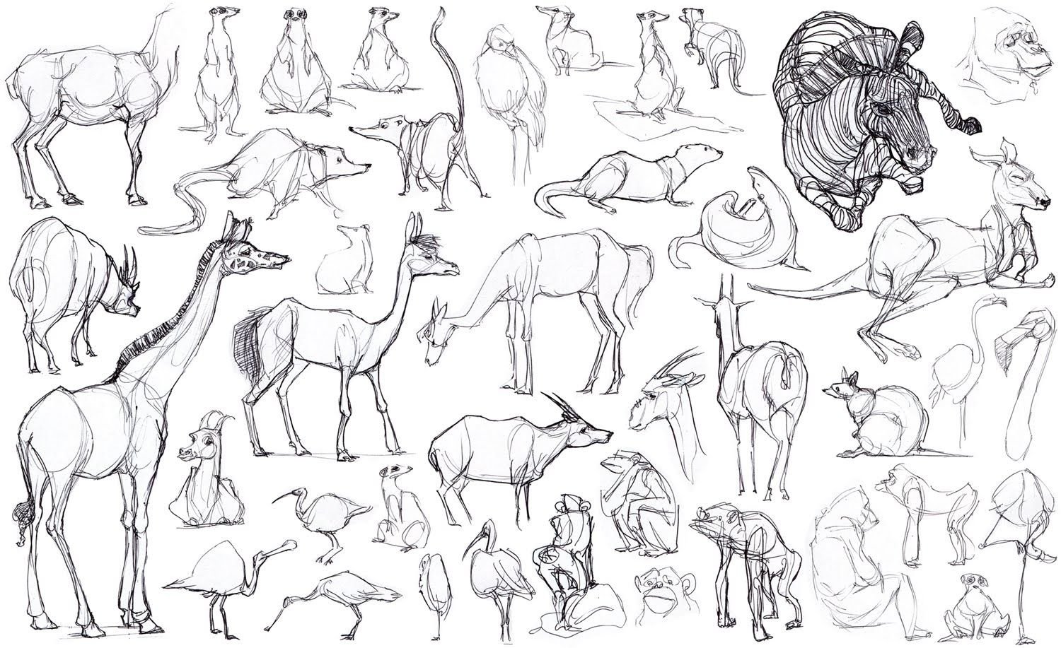 Карандашный набросок 5 букв сканворд. Животные зарисовки. Наброски животных. Наброски животных карандашом. Скетч животные.