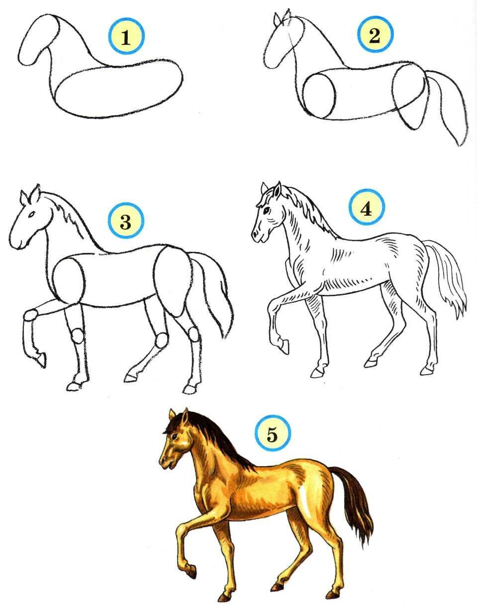 Рисуем лошадь поэтапно карандашом для начинающих