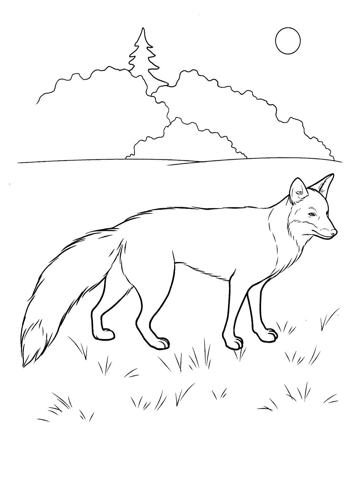Рисунок лисы для раскрашивания