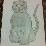 Рисунок на тему моё любимое животное