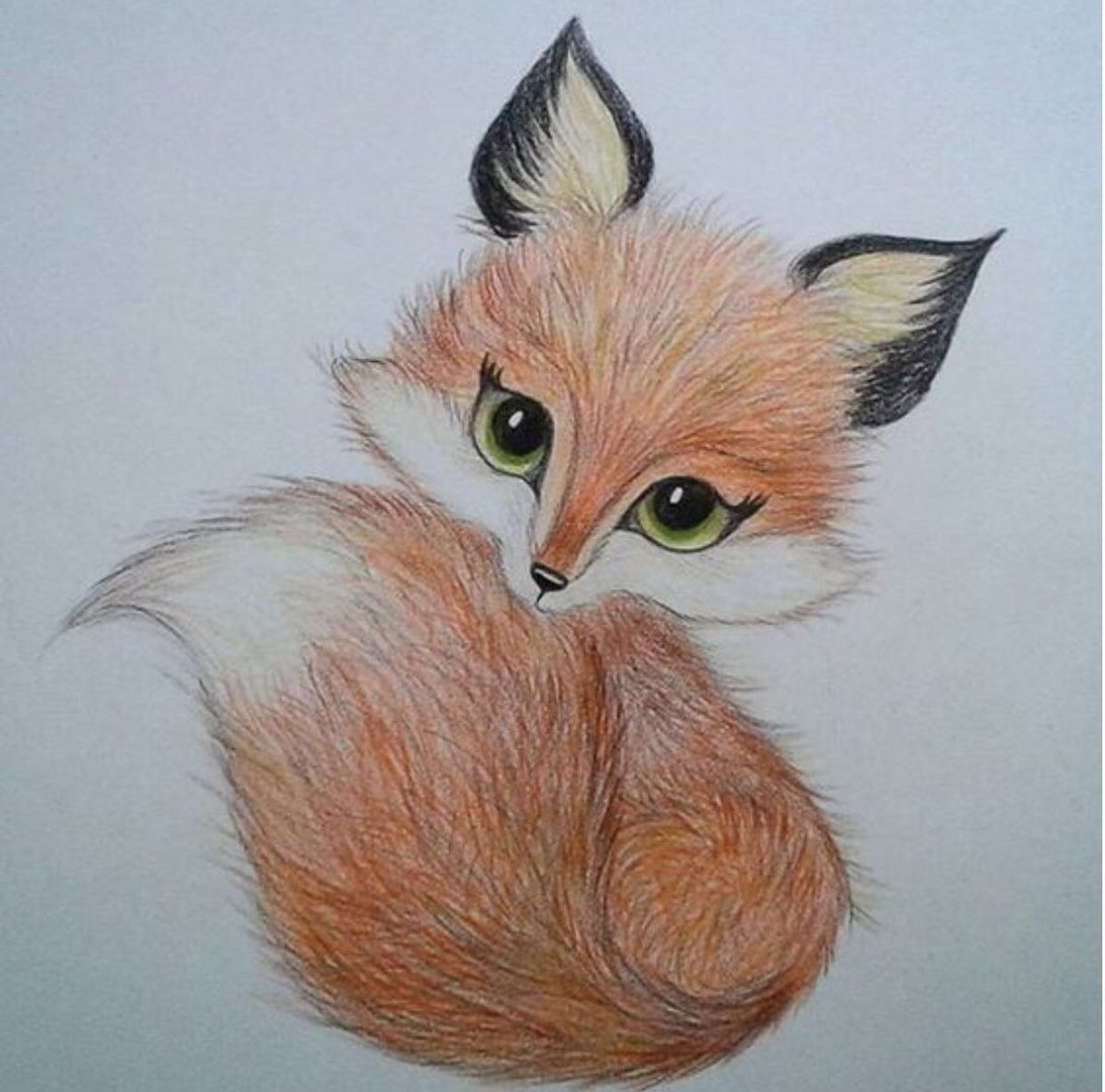 Рисунок лисы