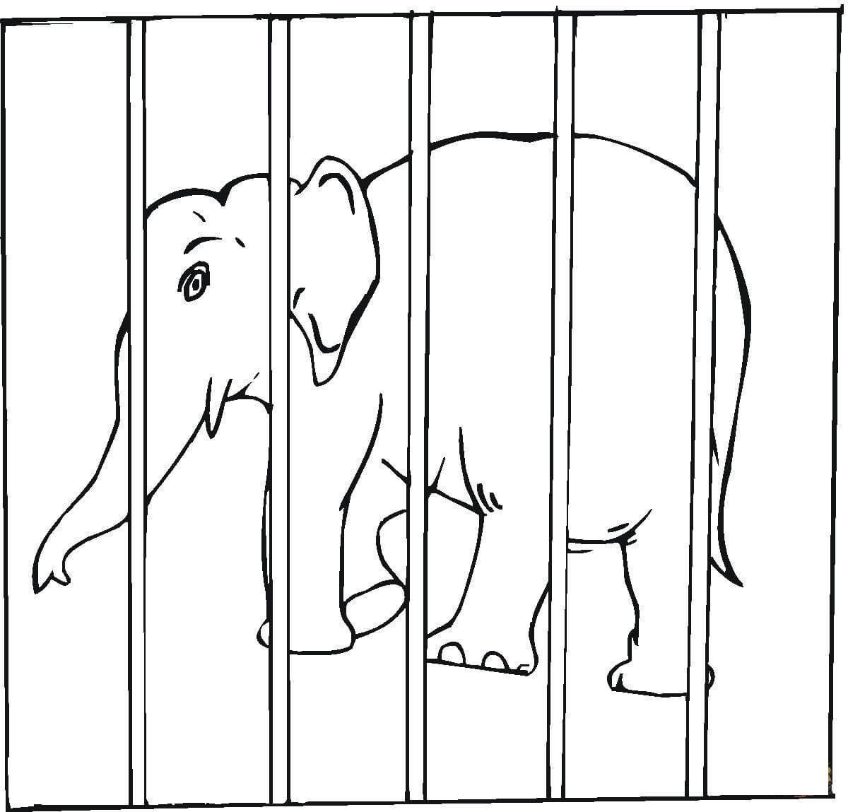 Рисование животных в зоопарке
