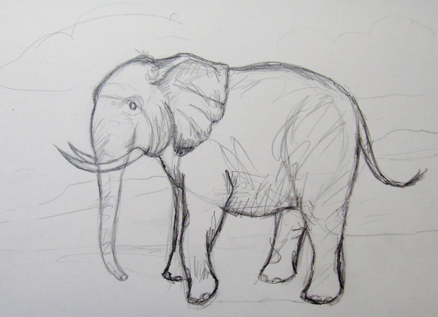 Слон рисунок карандашом для начинающих