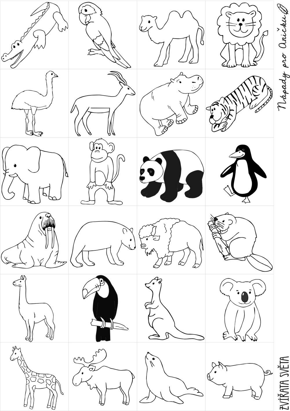 Рисунки животных из зоопарка