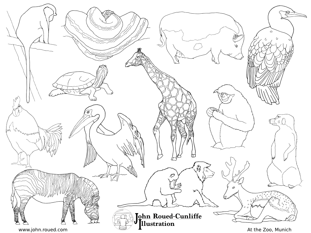 Рисуем животных зоопарка. Животные рисунки. Зарисовки животных. Рисование животных в зоопарке. Звери из зоопарка раскраска.